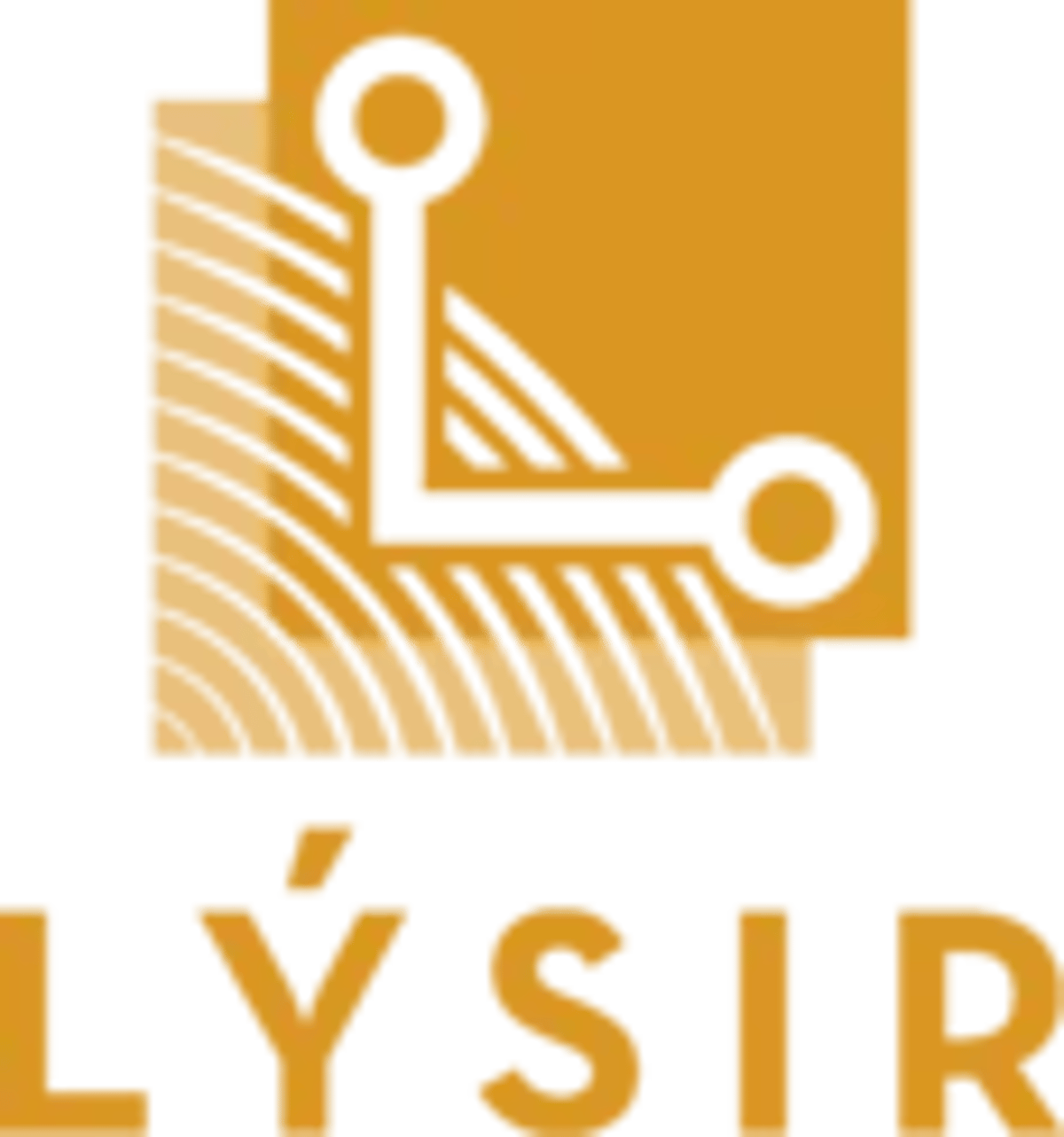 Lýsir logo 2
